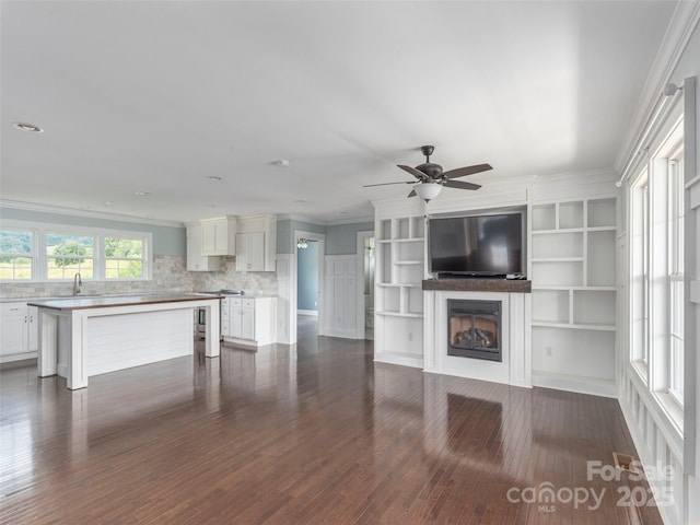 3355 Thickety Rd, Clyde, NC 28721 - unfurnished living room featuring ornamental molding, a fireplace, dark wood-style floors, and ceiling fan