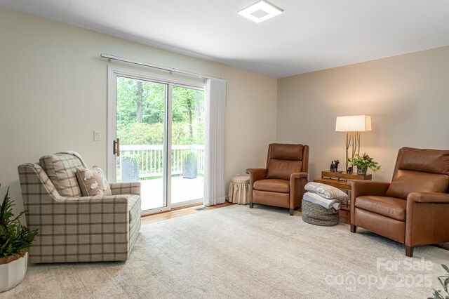 112 Broadmoor Dr, Flat Rock, NC 28731 - photo 33