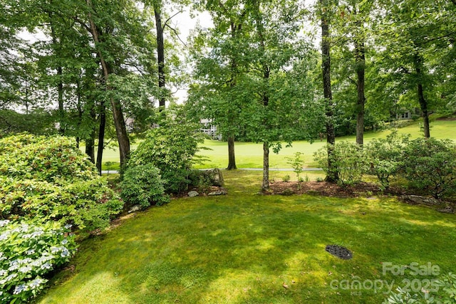 112 Broadmoor Dr, Flat Rock, NC 28731 - photo 39