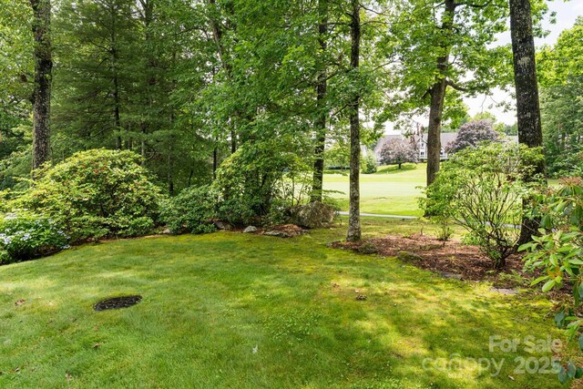112 Broadmoor Dr, Flat Rock, NC 28731 - photo 42
