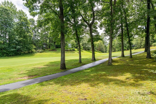 112 Broadmoor Dr, Flat Rock, NC 28731 - photo 43