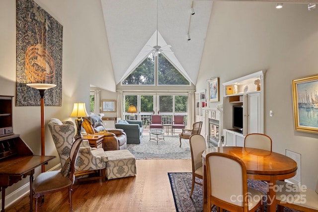 104 Overlook Dr, Flat Rock, NC 28731 - living area with high vaulted ceiling, wood finished floors, ceiling fan, track lighting, and a glass covered fireplace
