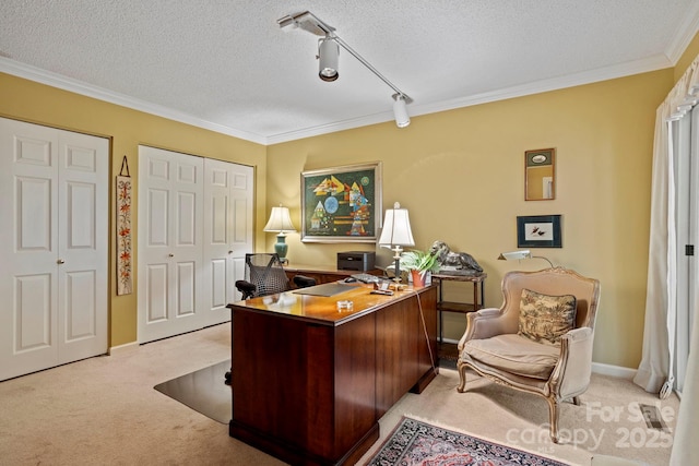 104 Overlook Dr, Flat Rock, NC 28731 - office area featuring light colored carpet, ornamental molding, a textured ceiling, and track lighting