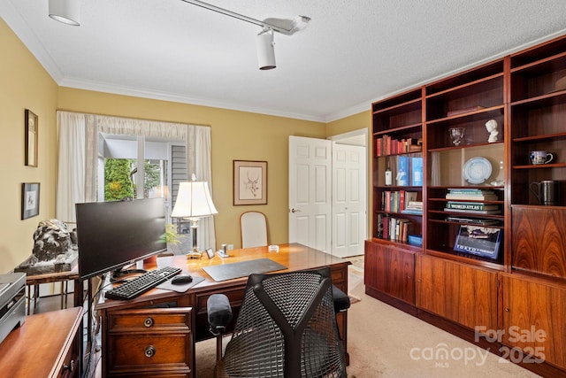 104 Overlook Dr, Flat Rock, NC 28731 - office with ornamental molding and light colored carpet