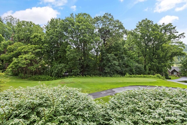 104 Overlook Dr, Flat Rock, NC 28731 - view of green lawn featuring view of golf course and view of wooded area