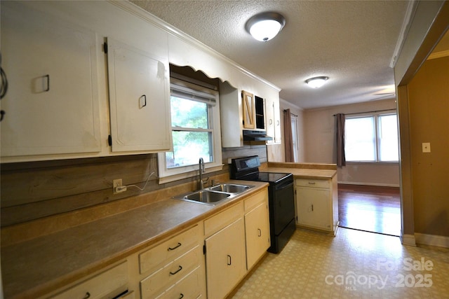416 E Union St, Marshville, NC 28103 - kitchen featuring black range with electric stovetop, ornamental molding, a textured ceiling, under cabinet range hood, and light flooring