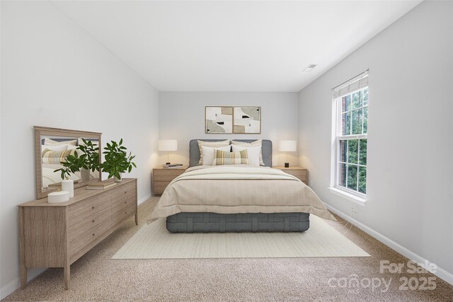 9728 Blossom Hill Dr, Huntersville, NC 28078 - photo 26