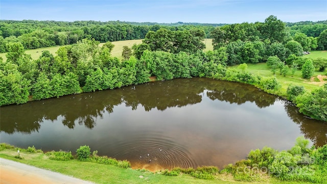 000 Spring Pointe Dr, Stony Point, NC 28678
