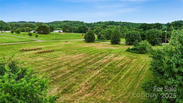 000 Spring Pointe Dr, Stony Point, NC 28678