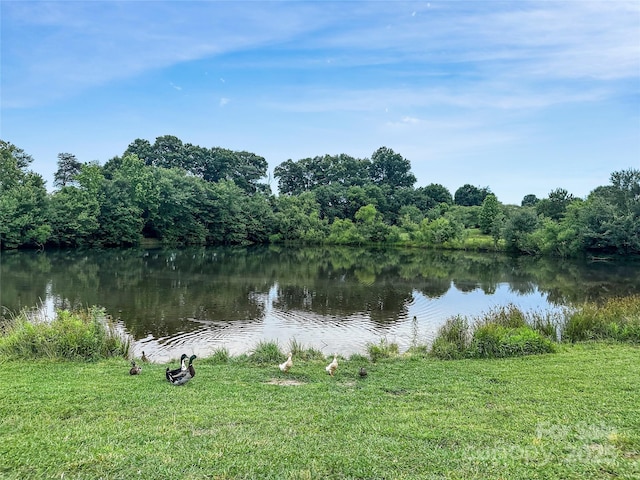 000 Spring Pointe Dr, Stony Point, NC 28678