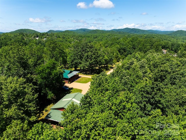 129 Melrose Lake Rd, Saluda, NC 28773 - view of subject property featuring a forest and a mountainous background