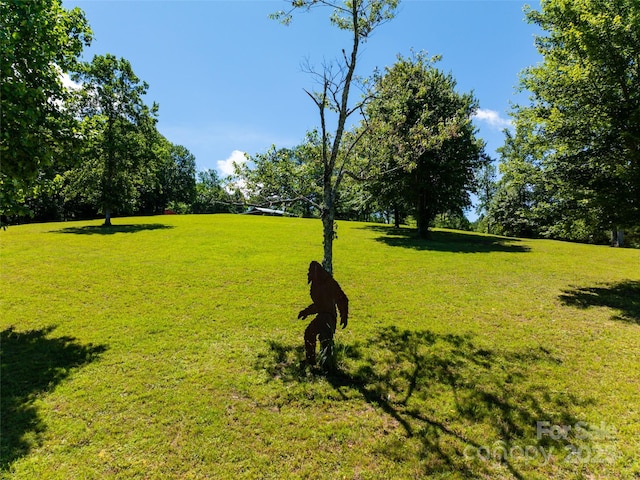 129 Melrose Lake Rd, Saluda, NC 28773 - surrounding community with a yard