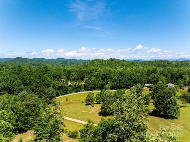 129 Melrose Lake Rd, Saluda, NC 28773 - bird's eye view of a forest and mountains