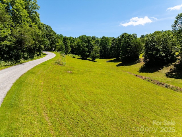 129 Melrose Lake Rd, Saluda, NC 28773 - view of property's community with a yard and driveway