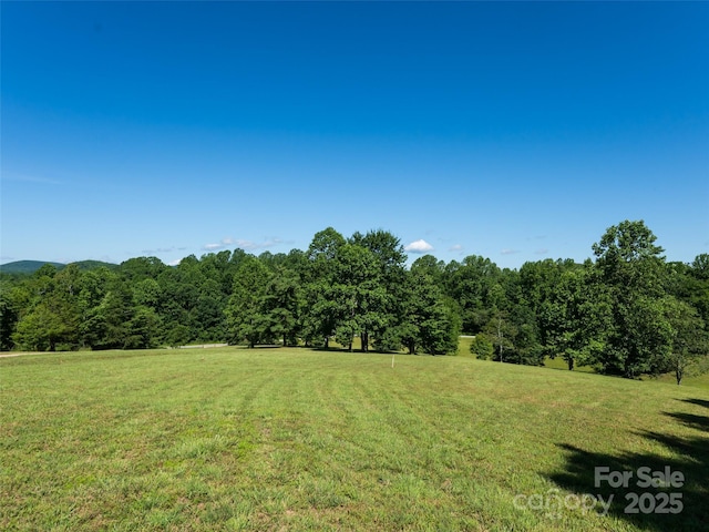 129 Melrose Lake Rd, Saluda, NC 28773 - view of green lawn with a wooded view and a view of countryside