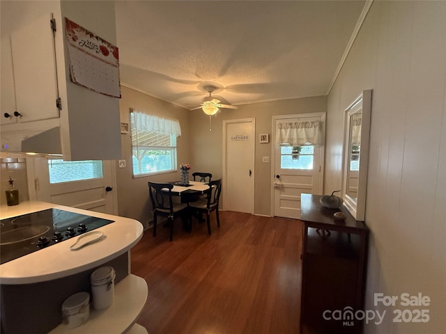 708 E St Unit 8, 9, Albemarle, NC 28001 - dining room with dark wood-type flooring, ornamental molding, and a ceiling fan