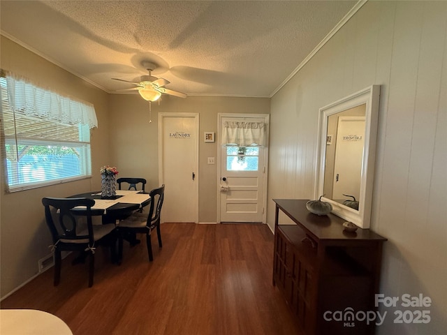 708 E St Unit 8, 9, Albemarle, NC 28001 - dining area with ornamental molding, dark wood-style floors, a textured ceiling, healthy amount of natural light, and a ceiling fan