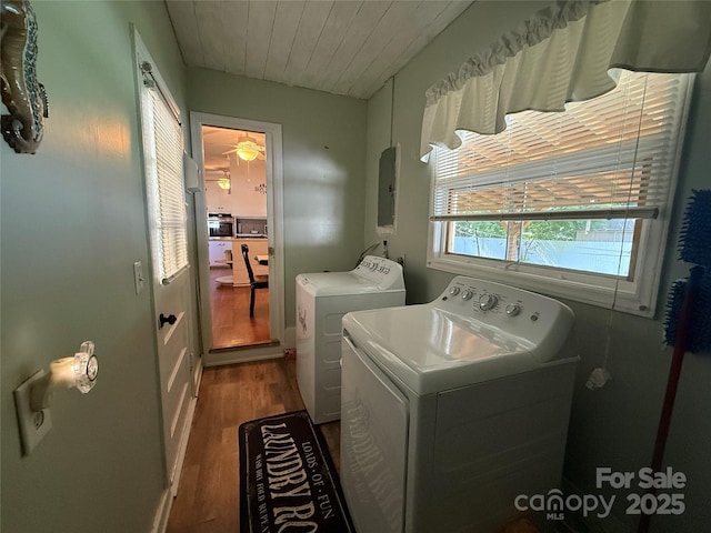 708 E St Unit 8, 9, Albemarle, NC 28001 - washroom with washer and dryer, dark wood-style floors, electric panel, and a ceiling fan