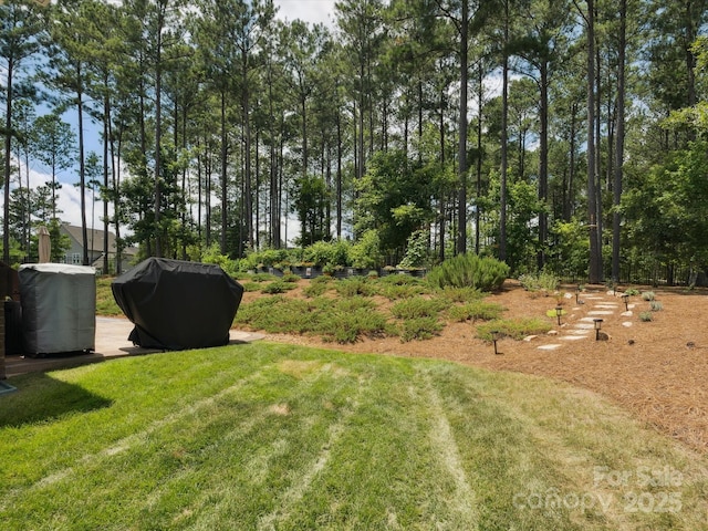 4166 Persimmon Rd, Lancaster, SC 29720 - photo 32
