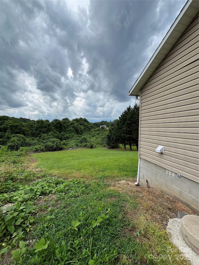 628 Main St S, Jonesville, NC 29353 - view of grassy yard featuring a wooded view
