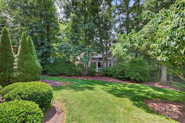 803 Woodmoore Ln, Kannapolis, NC 28081 - view of yard