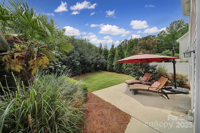 8702 Aspinwall Dr, Charlotte, NC 28216 - photo 25