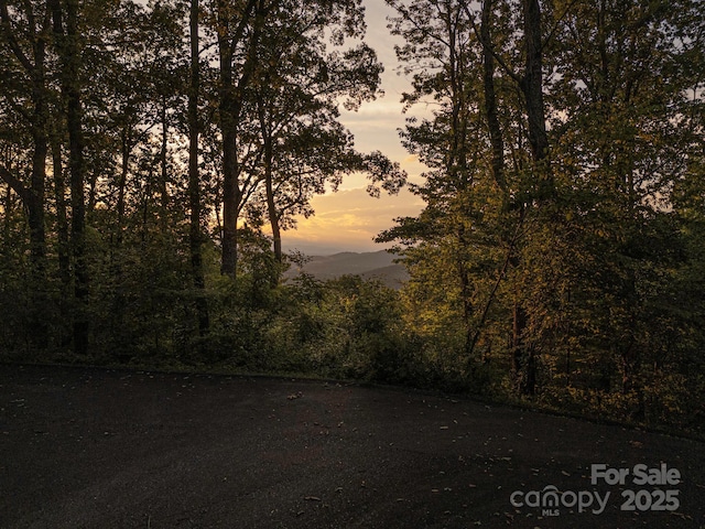 15 Casta Way, Asheville, NC 28803