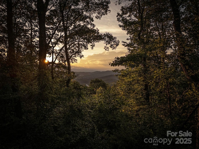 15 Casta Way, Asheville, NC 28803