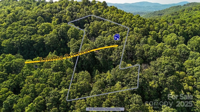 15 Casta Way, Asheville, NC 28803