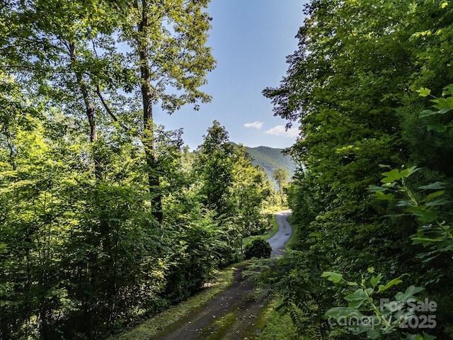 15 Casta Way, Asheville, NC 28803