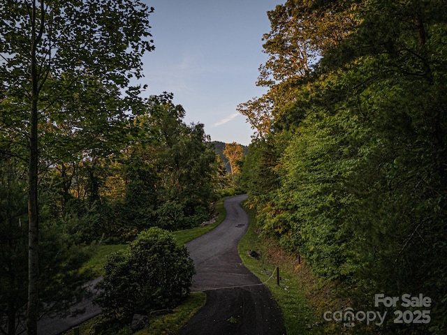 15 Casta Way, Asheville, NC 28803