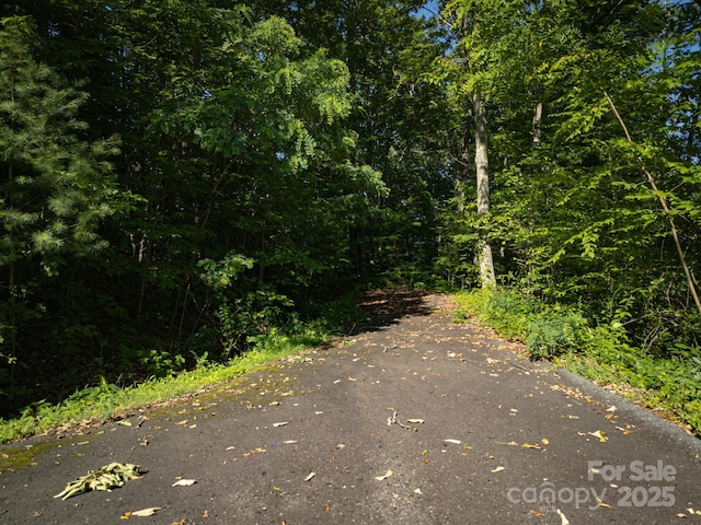 15 Casta Way, Asheville, NC 28803