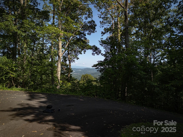 15 Casta Way, Asheville, NC 28803