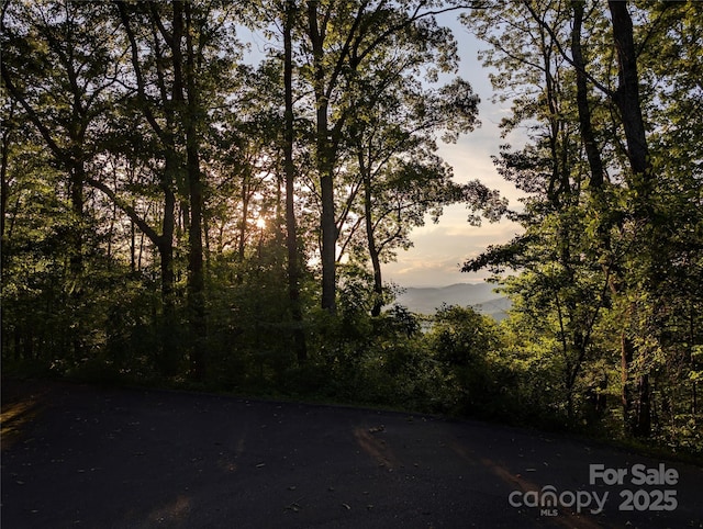 15 Casta Way, Asheville, NC 28803