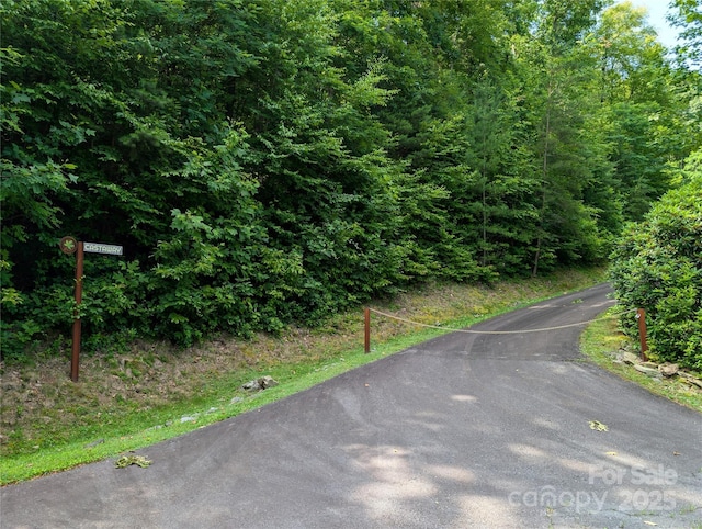 15 Casta Way, Asheville, NC 28803