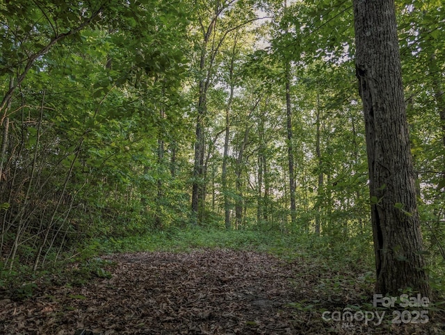 15 Casta Way, Asheville, NC 28803