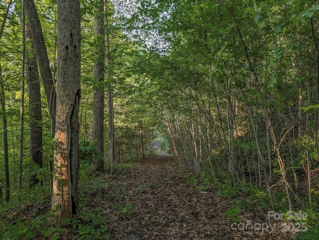 15 Casta Way, Asheville, NC 28803