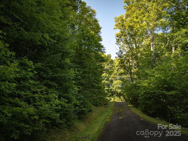 15 Casta Way, Asheville, NC 28803