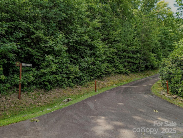 15 Casta Way, Asheville, NC 28803