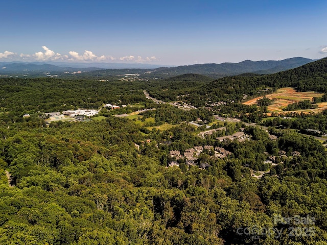 15 Casta Way, Asheville, NC 28803
