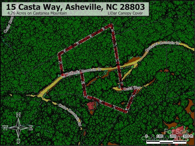 15 Casta Way, Asheville, NC 28803
