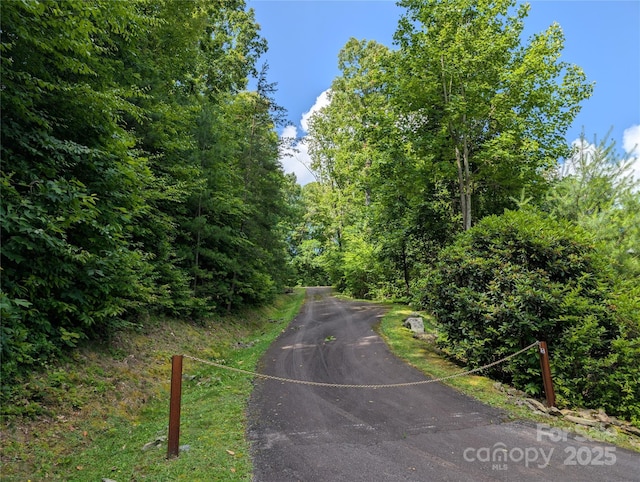 15 Casta Way, Asheville, NC 28803