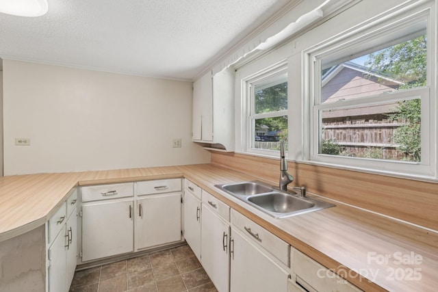 1626 W Park Ave, Albemarle, NC 28001 - kitchen with healthy amount of natural light, light countertops, a textured ceiling, ornamental molding, and white cabinets