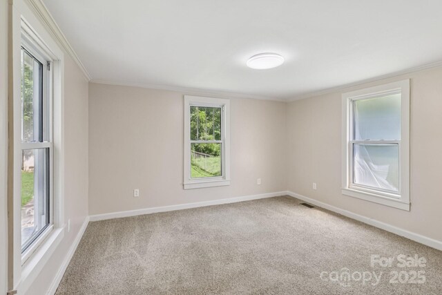1626 W Park Ave, Albemarle, NC 28001 - spare room with carpet floors, plenty of natural light, and ornamental molding