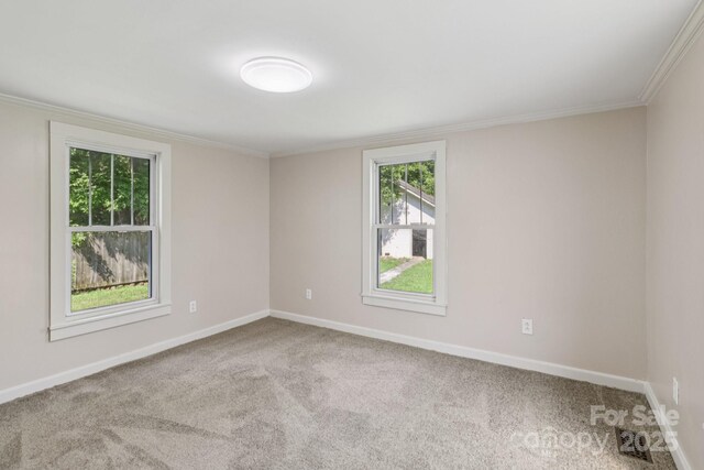 1626 W Park Ave, Albemarle, NC 28001 - spare room featuring carpet and ornamental molding