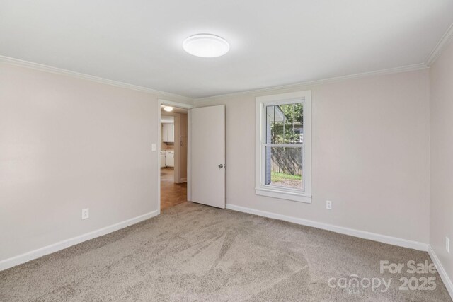 1626 W Park Ave, Albemarle, NC 28001 - carpeted empty room featuring ornamental molding