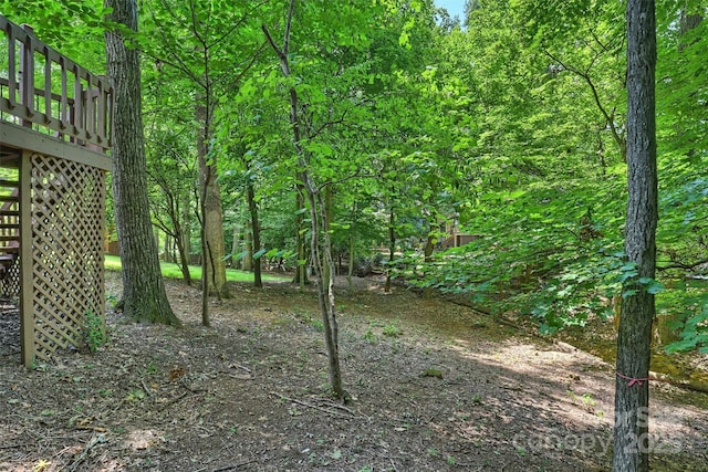 1419 Jules Ct, Charlotte, NC 28226 - photo 45