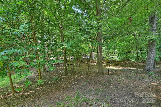 1419 Jules Ct, Charlotte, NC 28226 - photo 46