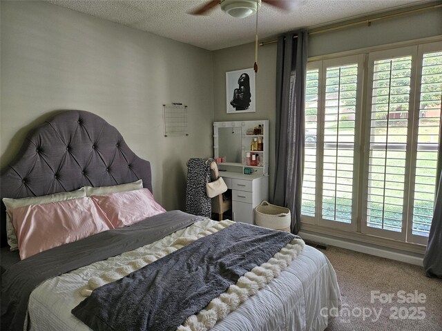 217 Rock Creek Dr, Lincolnton, NC 28092 - bedroom featuring carpet floors, multiple windows, a textured ceiling, and a ceiling fan