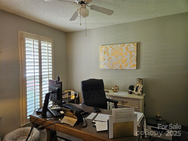 217 Rock Creek Dr, Lincolnton, NC 28092 - home office featuring plenty of natural light, a ceiling fan, and a textured ceiling